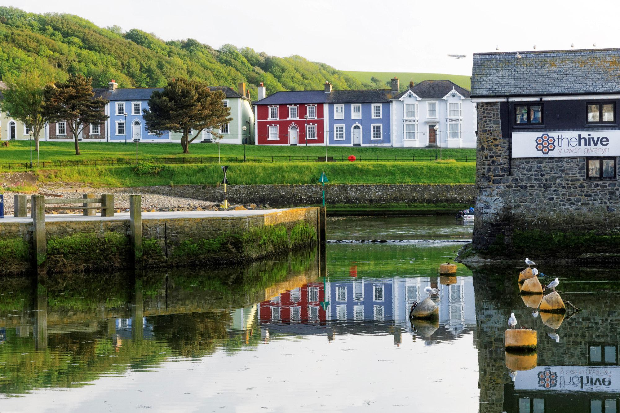 The Hive Aberaeron Harbour by ©Janet Baxter